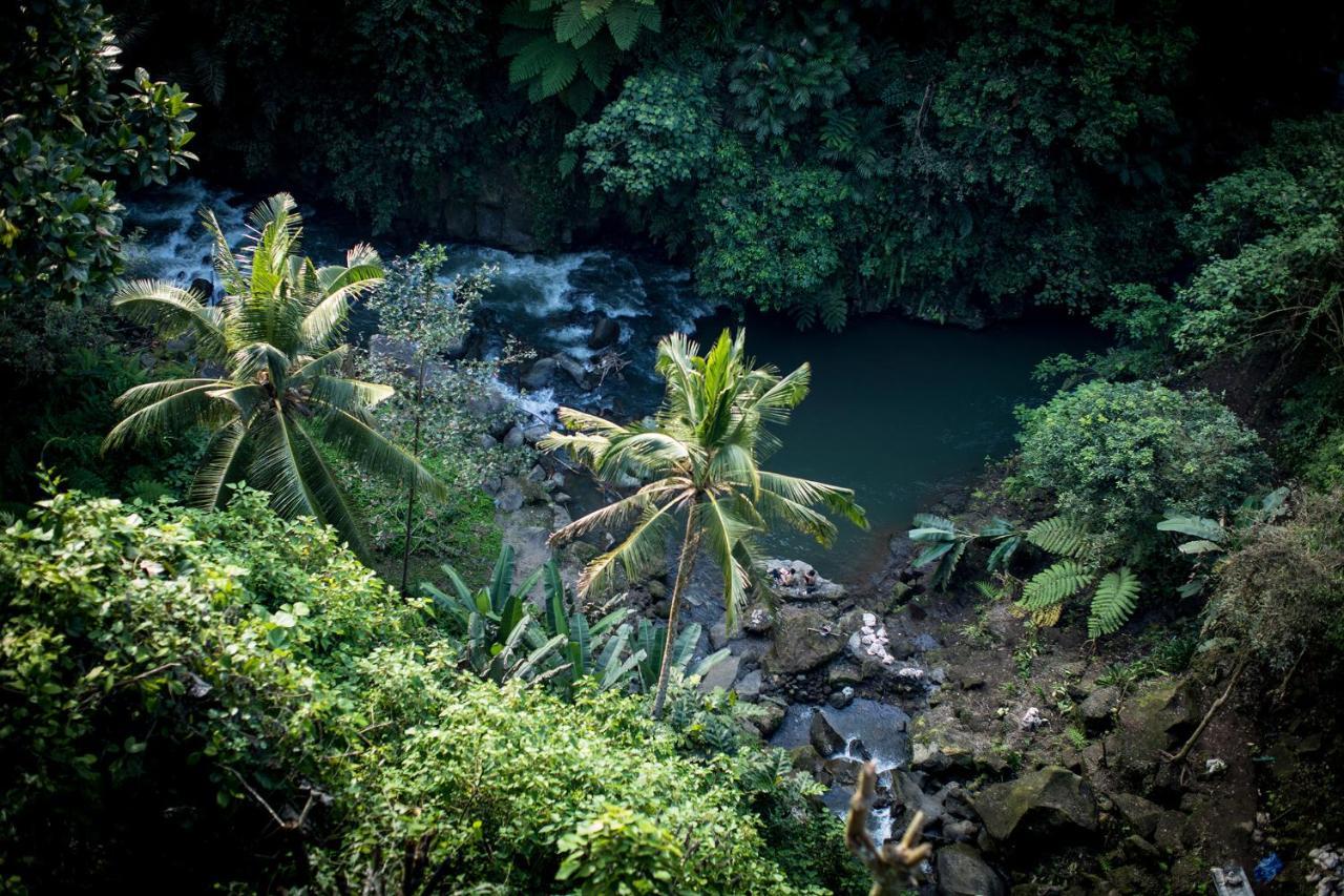 Villa Kalisat Ubud  Luaran gambar