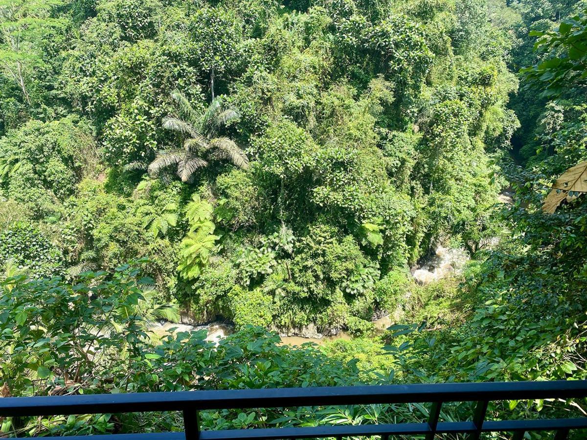 Villa Kalisat Ubud  Luaran gambar