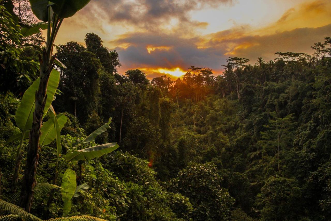 Villa Kalisat Ubud  Luaran gambar